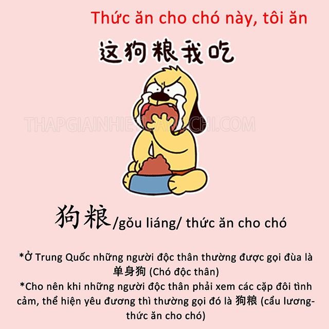 Cẩu lương là gì? Cẩu huyết là gì? Tìm hiểu ý nghĩa