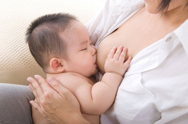 Chè vằng lợi sữa có đúng hay không? Cách dùng như thế nào?
