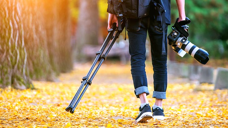 Chụp ảnh Macro là gì? Những mẹo chụp được những bức ảnh macro đẹp nhất