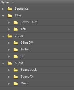 Hướng dẫn dựng phim với phần mềm Adobe Premiere Pro