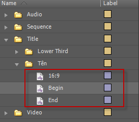 Hướng dẫn dựng phim với phần mềm Adobe Premiere Pro