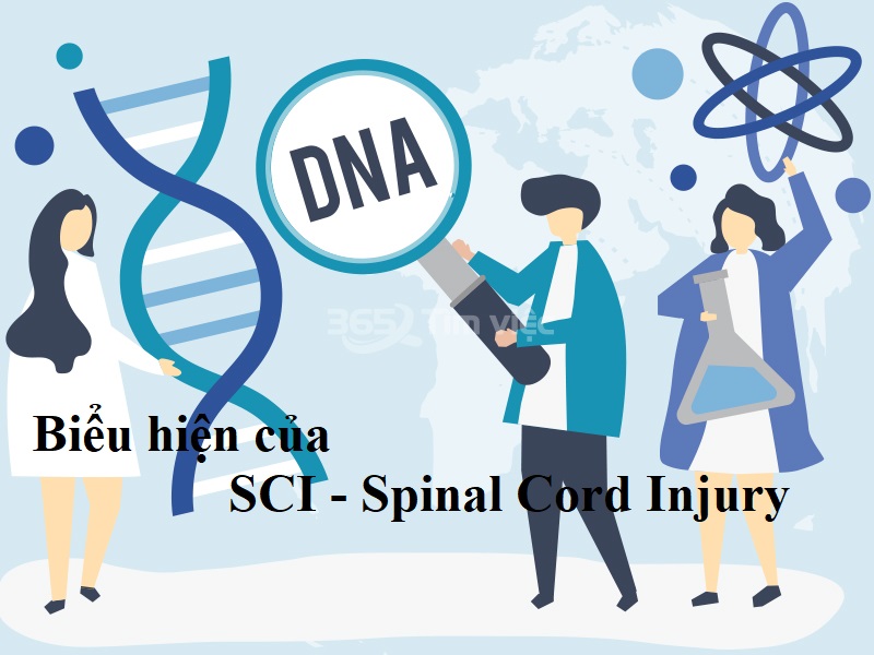 Sci Là Gì - Báo Sci Science Citation Index