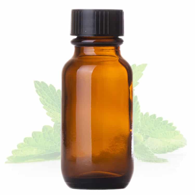 Patchouli Là Gì - Tinh Dầu Hoắc Hương Patchouli
