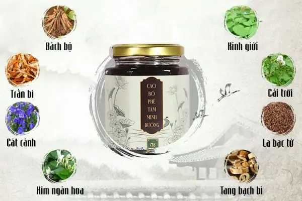 Viêm phổi là gì, chữa được không? Triệu chứng, nguyên nhân và điều trị - Chi tiết tin tức