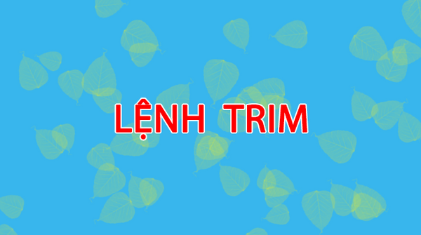 Bật mí cách dùng lệnh trim trong cad để cắt nhanh đối tượng